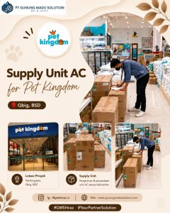 Pet Kingdom, Qbig BSD